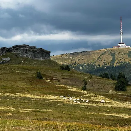 Chalet Roubenka *