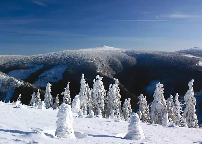 Шале Roubenka